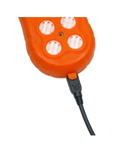 Detector de Gás Multigás... 2